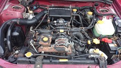 Forester 2.0 GL